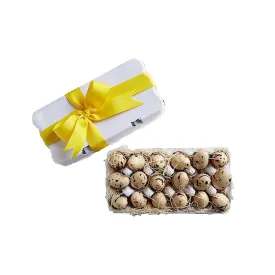 Chocolate Quail Eggs in Egg Carton