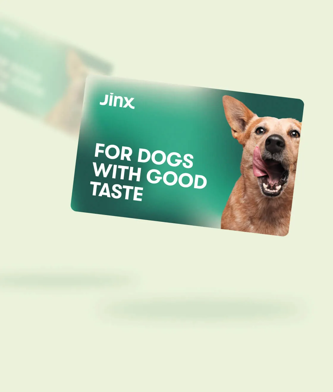 Jinx Gift Card (eGift Card)