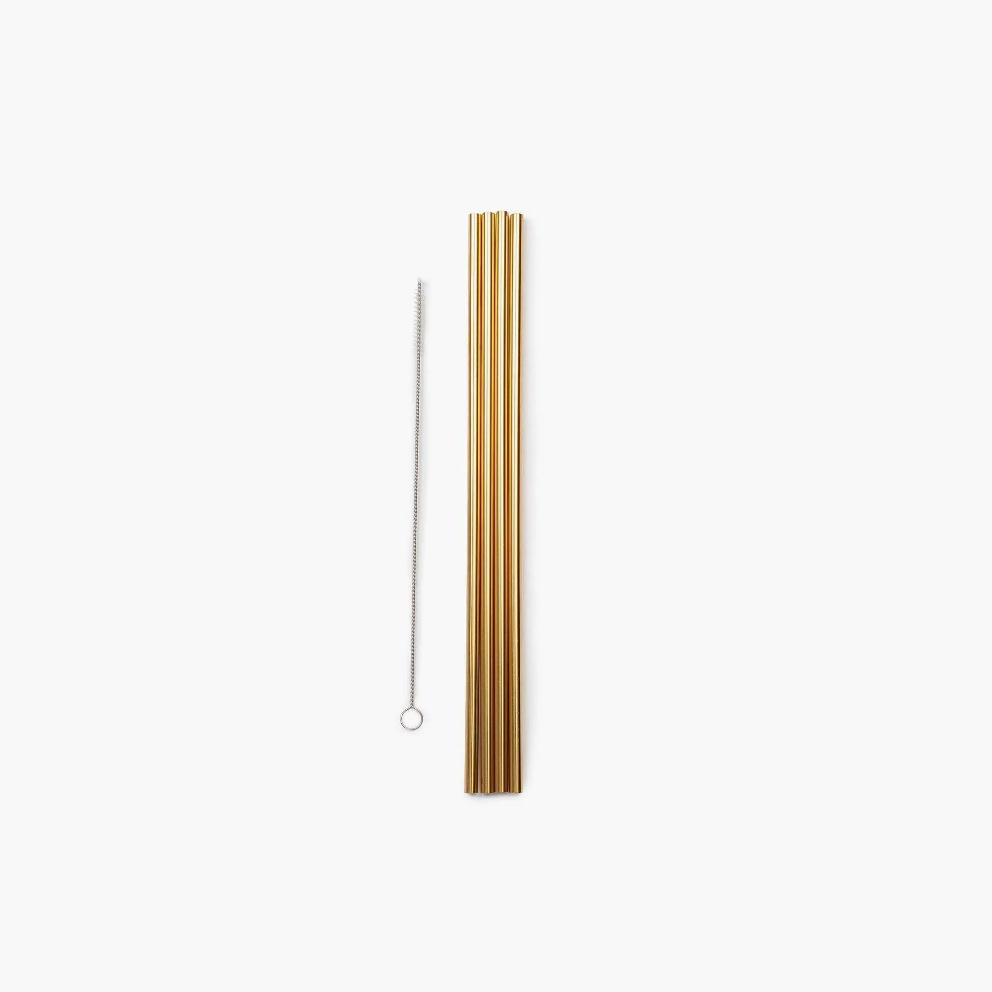 Porter Reusable Metal Straw Set