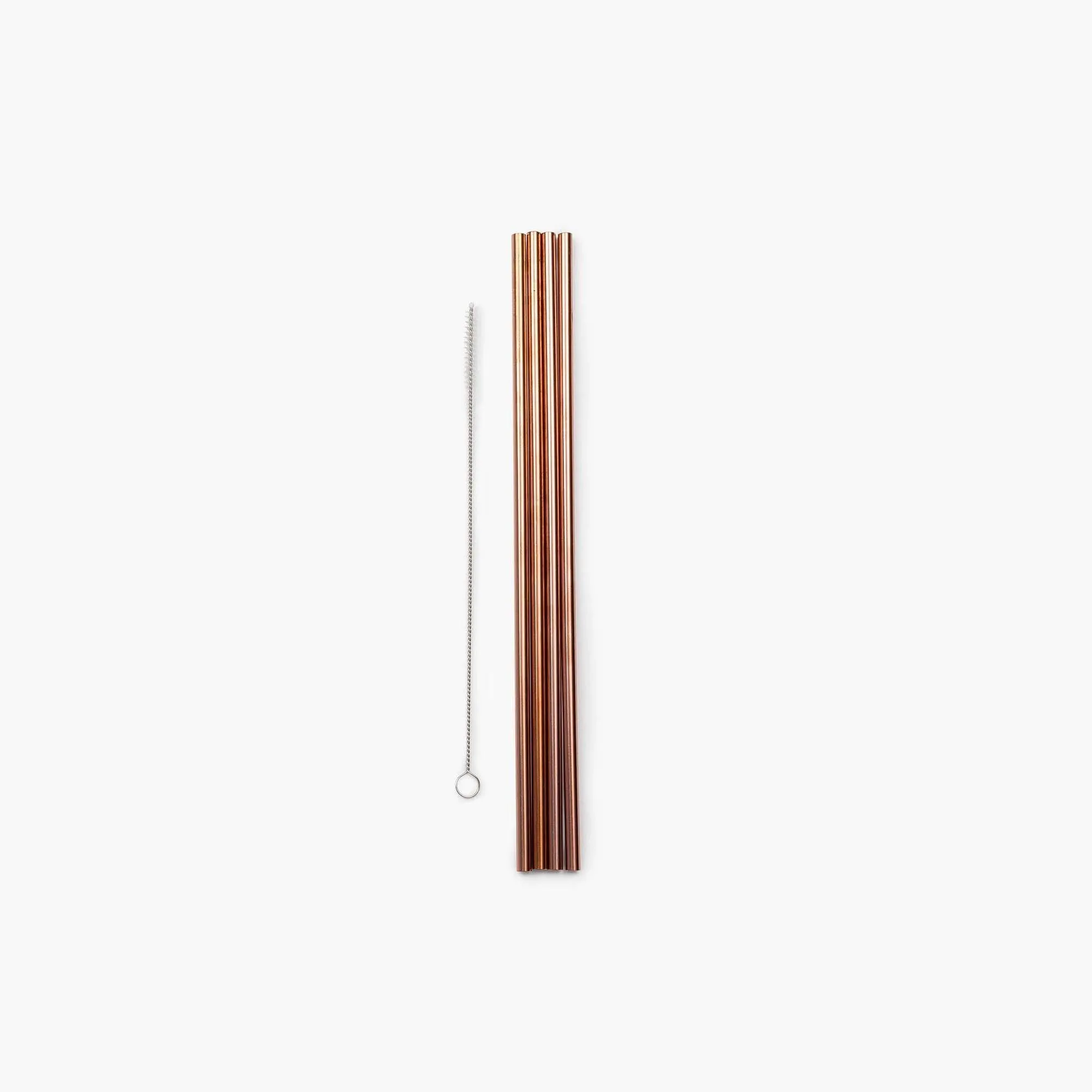 Porter Reusable Metal Straw Set