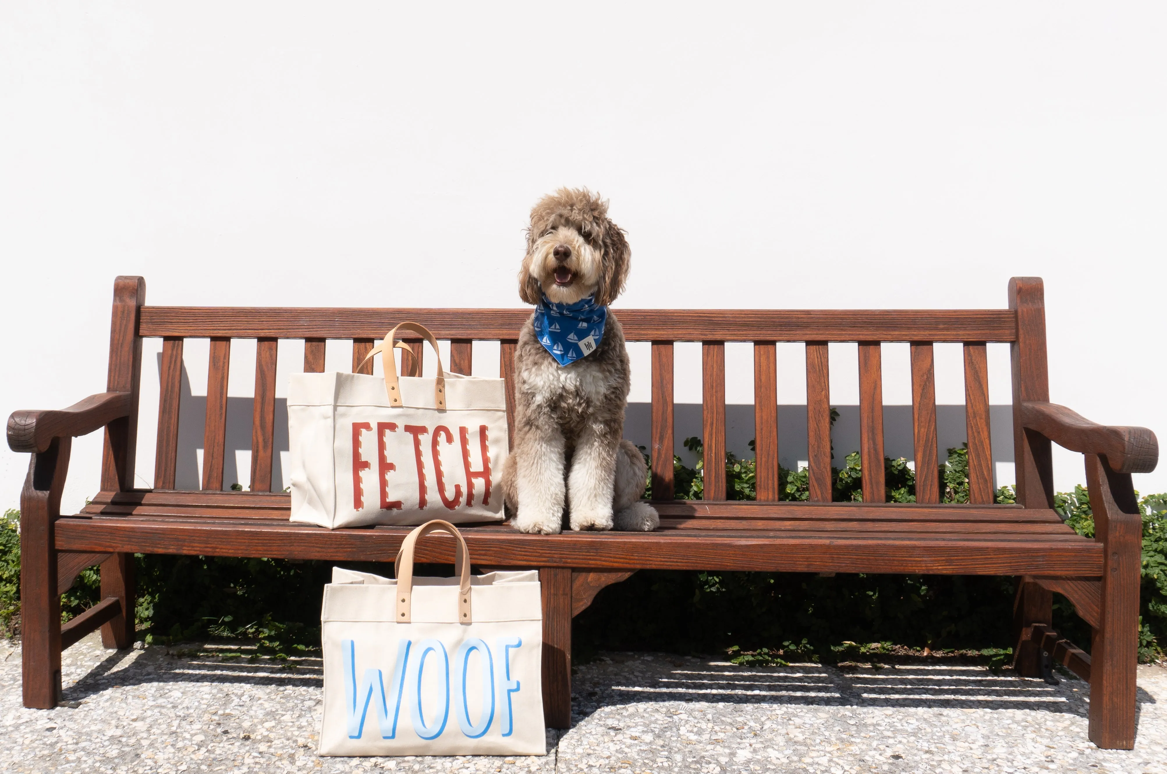 Woof Tote