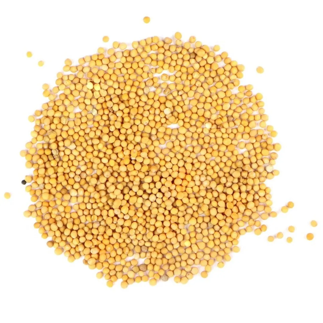 Yellow Mustard Seeds